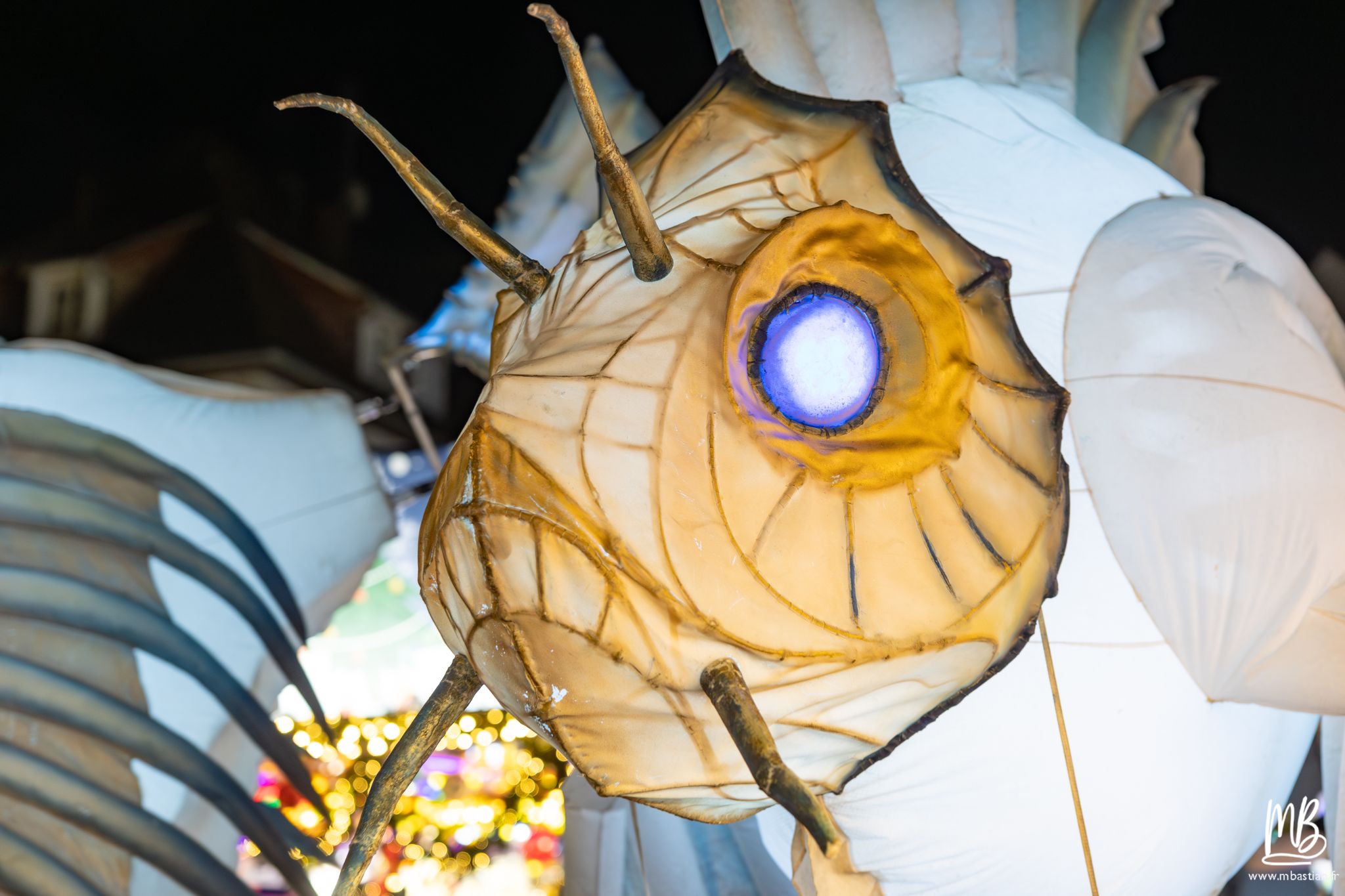 20251230 CIE REMUE MENAGE MB 85